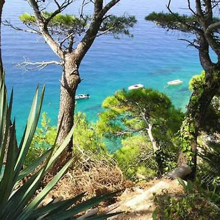Big Blue Apartment Marusici (Split-Dalmatia)